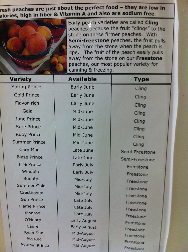 Peaches! Cling vs Freestone Peaches and the Season for